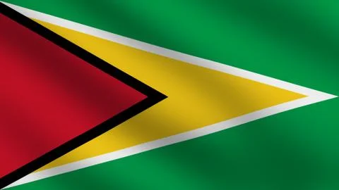 Guyana flag Stock Illustration