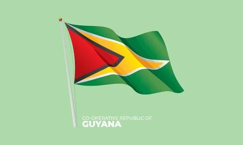 Guyana flag Stock Illustration