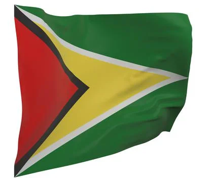 Guyana flag isolated Stock Illustration