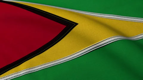 Guyana Flag Loop Video stock 241249122