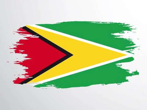 Guyana flag painted with a brush Stock Illustration