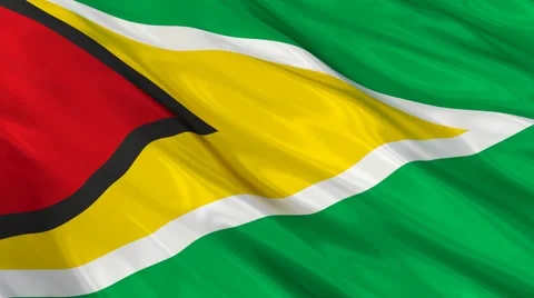 Guyana flag Seamless Stock Footage 49087383