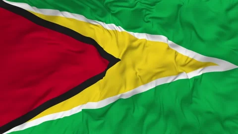 Guyana Flag Seamless Looping Background Waving Slow Motion Stock Footage 234313274