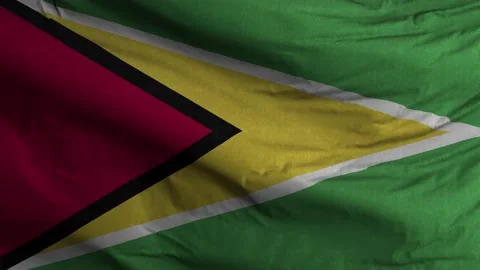 Guyana Flag Textured Waving Background 4K Stock Footage 146607785
