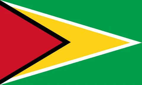 Guyana flag vector Stock Illustration