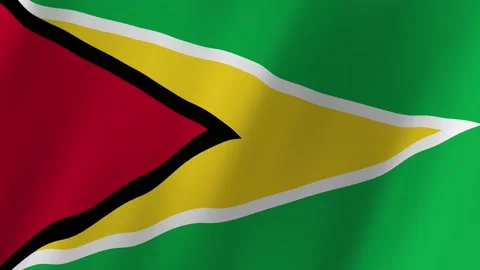 Guyana flag waving animation Stock Footage 220388520
