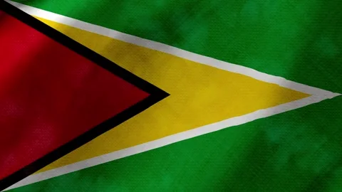 Guyana flag waving background with real fabric texture 스톡 동영상 291915673