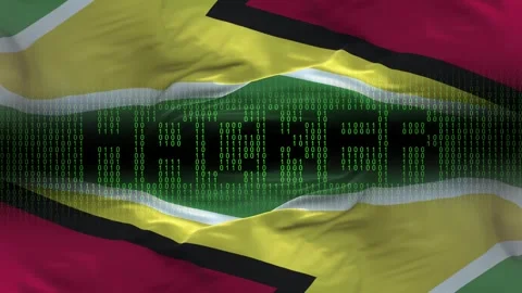 Guyana flag - Waving flag on matrix binary code background Stock Footage 321420056