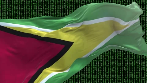 Guyana flag - Waving flag on matrix binary code background Stock Footage 321421229