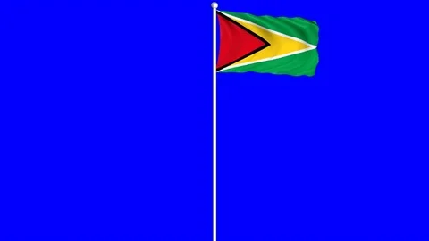 Guyana Flag Waving Fluttering on Wind Loopable Green Blue Screen Matte Stock Footage 77580050