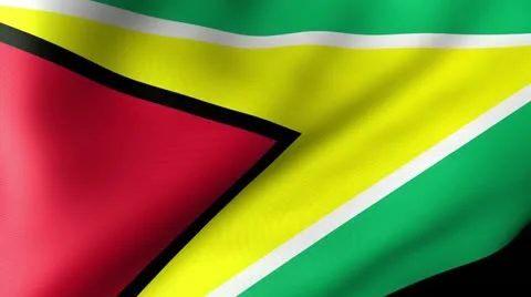 Guyana Flag Waving Stock Footage 12206103