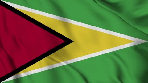 Guyana flag Waving Stock Footage 294134344
