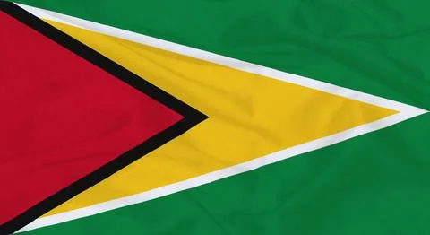 Guyana Flag Waving Stock Illustration