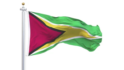 Guyana flag waving looping with transparent background. Stock Footage 315108176