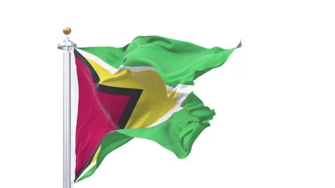 Guyana flag waving looping with transparent background. 動画素材 315108200