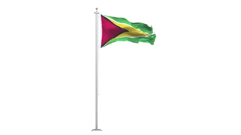 Guyana flag waving looping with transparent background. 動画素材 315108533