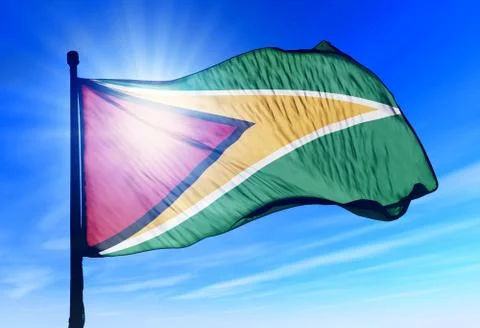 Guyana flag waving on the wind Stock Illustration
