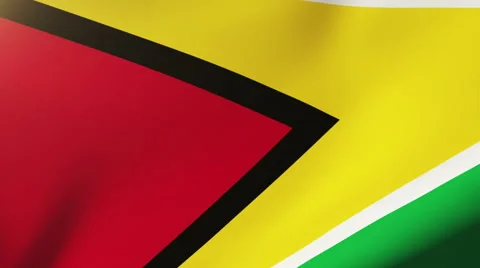 Guyana flag waving in the wind. Looping sun rises style.  Animation loop 스톡 동영상 48628095
