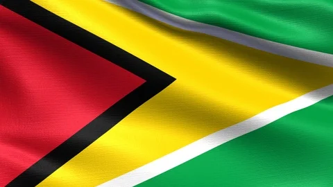 Guyana Looping Flag 4K Stock Footage 107189940