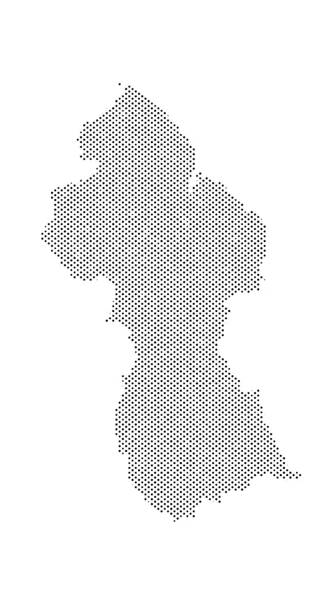 Guyana map from particles, dots. Digital silhouette. Abstract animation bac.. Stock Footage 315139777