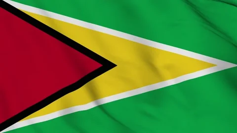 Guyana National flag waving in the wind. flag seamless loop 3d animation. Stock Footage 131290106