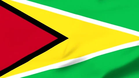 Guyana national flag waving in the wind with vibrant colors Vídeos de archivo 343574071