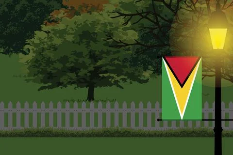 Guyana Night Trees Lamp Vector Illustration Illustrazione stock