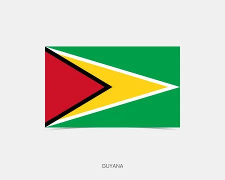 Guyana Rectangle flag icon with shadow. Stock Illustration