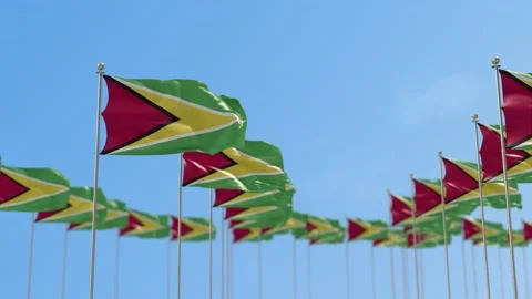 Guyana Row Of Flags 3D Animation Video stock 148696096