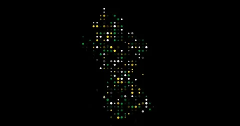Guyana Silhouette Emerging From Flying Dots Stock Footage 317047924