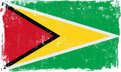 Guyana Vector Flag on White Stock Illustration