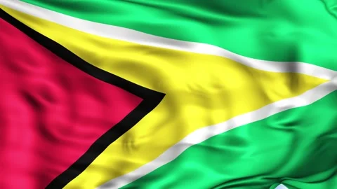 Guyana Waving Flag Background Stock Footage 204134693