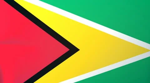 Guyana Waving Flag Stock Footage 10761966
