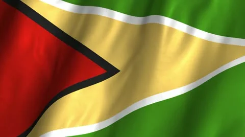 Guyana Waving Flag Video stock 12279235