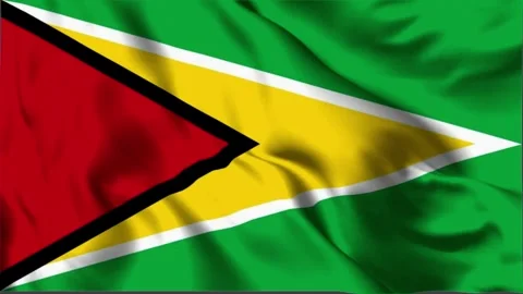 Guyana waving flag, Guyana 3D flag, Flag of Guyana waving Animation Stock Footage 303037112