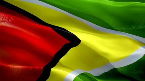 Guyana waving flag. National 3d ‎Guyanese flag waving. Sign of Guyana seamless Stock Footage 166706232