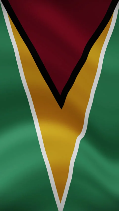 Guyana Waving Flag in Vertical Orientation – Realistic Loop Animation Stock Footage 294948350