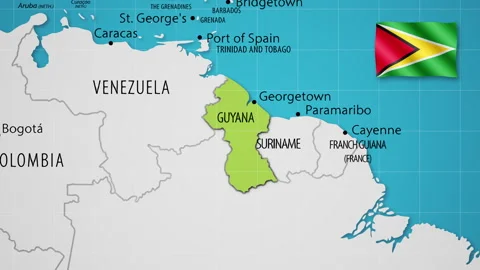Guyana on the World Map with Animated National Flag Stock Footage 314973602