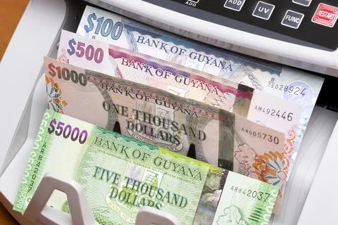 Guyanese dollar in the counting machine Stock Photos