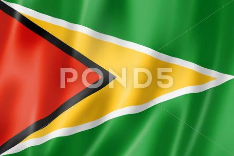 Guyanese flag Stock Illustration
