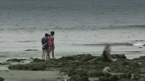 Guys on the beach Stock Footage 10819061