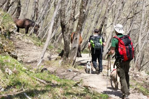 Guys doing an excursion Foto stock