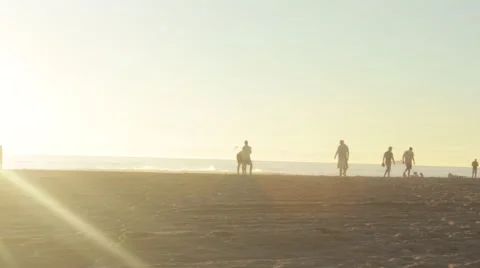 Guys Playing on the Beach Stock Footage 47008840