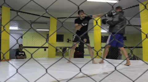 Guys Training MMA Vídeo Stock 31971279