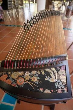 Guzheng strings, close-up shots Stockillustratie