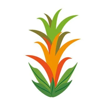Guzmania flower spring image Illustrazione stock