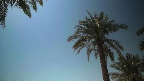 GV MIA DOHA SKYVIEW 6 Video stock 81550037