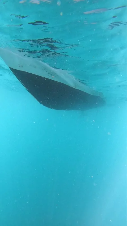 GX010102 Stock Footage 139421363