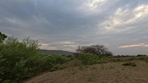 GX010184 clip01 Stock Footage 339781530