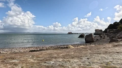 GX010219 Stock Footage 331097508